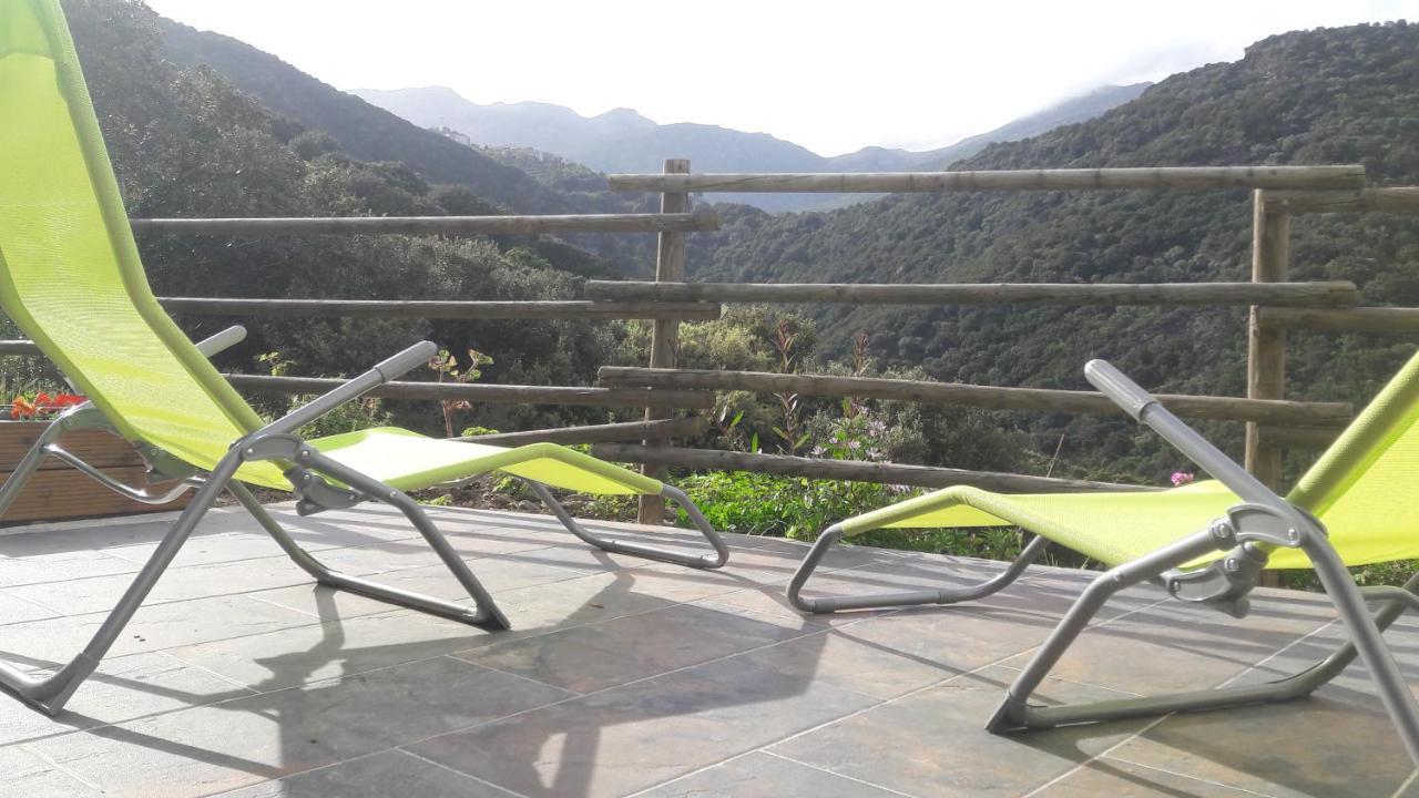 Appartement Giannoni San-Martino-di-Lota Zewnętrze zdjęcie