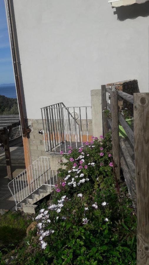 Appartement Giannoni San-Martino-di-Lota Zewnętrze zdjęcie